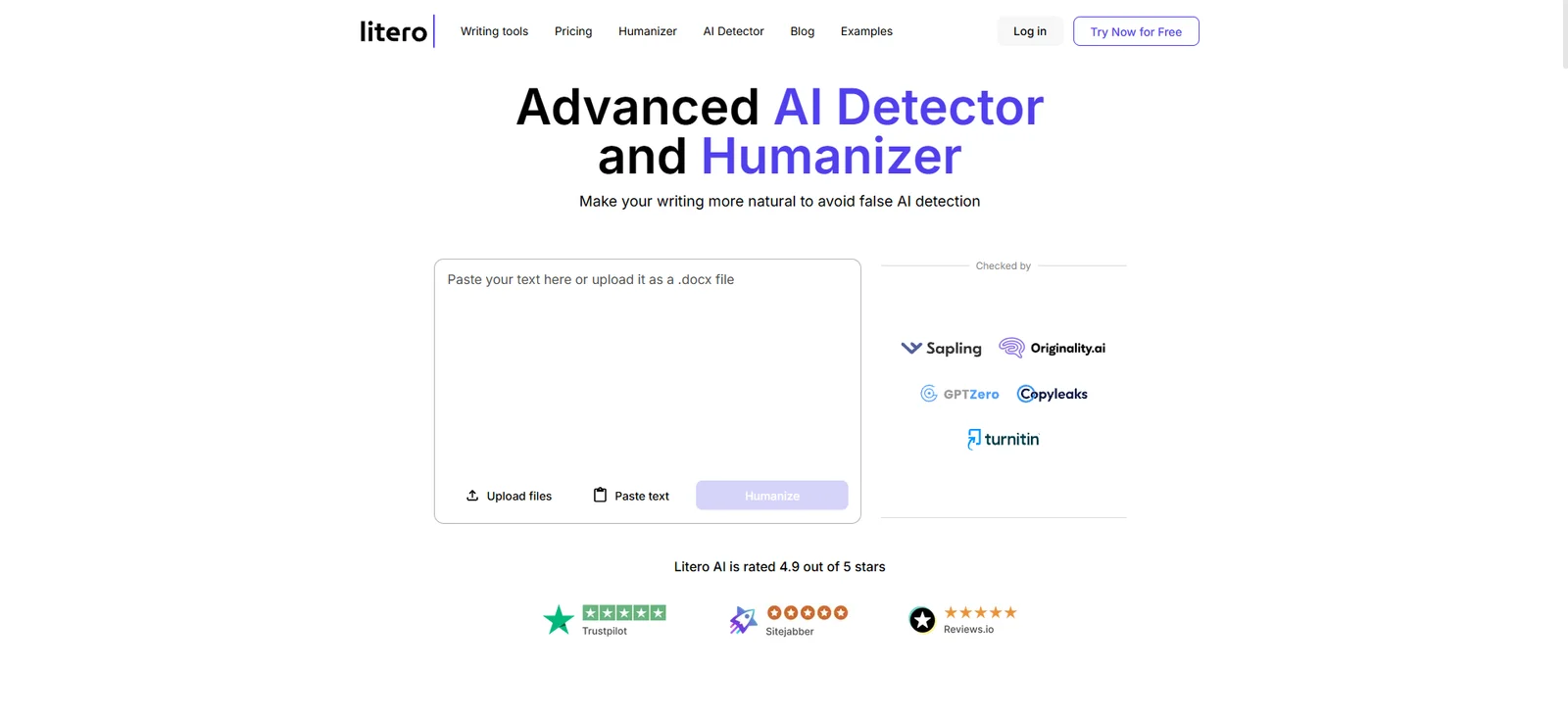 Litero's AI detector and humanizer page, with a text box, upload and paste buttons and a row of detector names