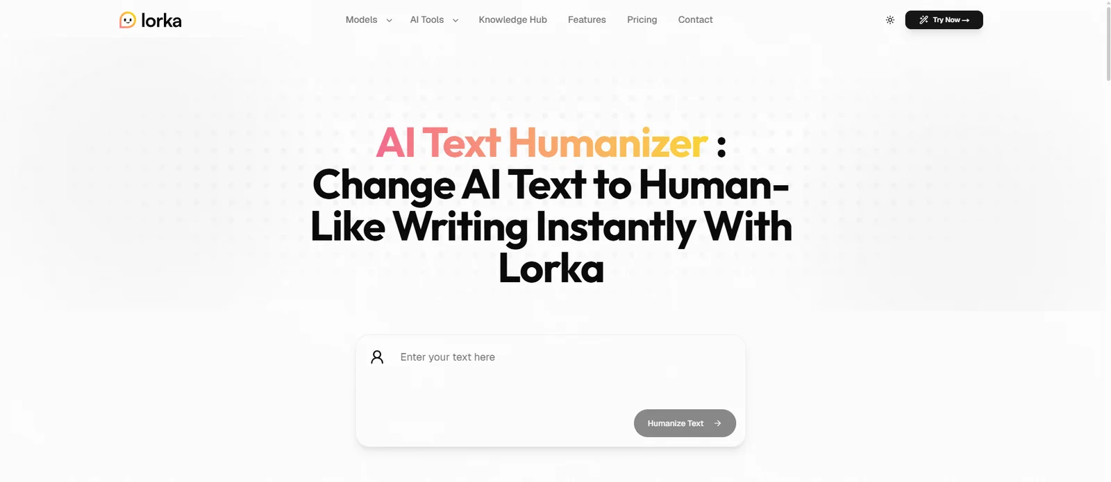 Lorka's AI Text Humanizer page, with a text box and a Humanize Text button